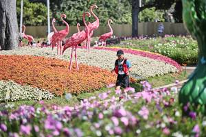 BIB: 
                            <button type="button" onclick="openModal(27794048)" class="btn btn-primary btn-sm float-right btn-popup" data-toggle="modal" data-target=".modal-high-quality">
                        <i class="fas fa-shopping-cart"></i> Add to Cart
                    </button>
                                            <button type="button" onclick="isThisMe(27794048, true)" class="btn btn-success btn-sm float-right btn-popup btn-isme hidden" data-toggle="tooltip" data-placement="bottom" title="นี่คือรูปของคุณใช่ไหม คลิกที่นี่เพื่อเอาเข้าอัลบั้ม">
                        <i class="fas fa-plus"></i> Add to album
                    </button>
                    <button type="button" onclick="isThisMe(27794048, false)" class="btn btn-warning btn-sm float-right btn-popup btn-isnotme hidden">
                        <i class="fas fa-ban"></i> Remove from album
                    </button>